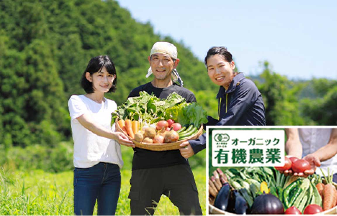 類農園奈良農場で有機野菜に取り組んでいる風景