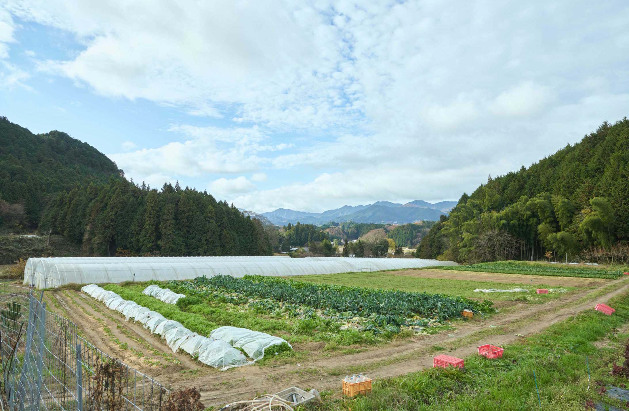 https://www.rui.ne.jp/wp-content/uploads/2024/01/top-nouen-sp.jpg