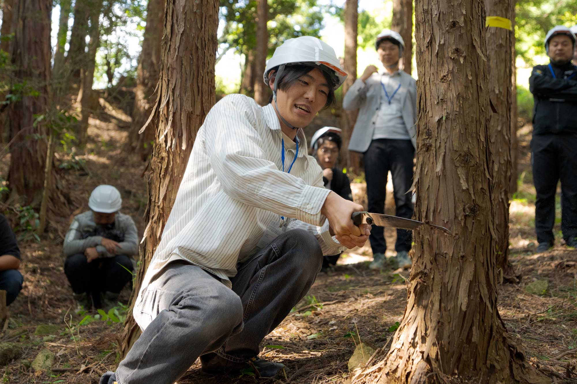 参加者が実際に木の伐採をする様子