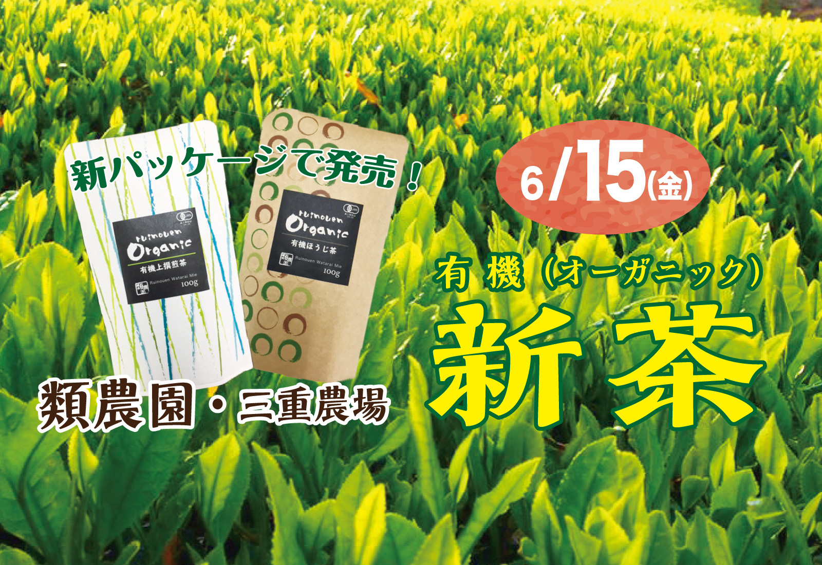 2018 類農園の新茶
